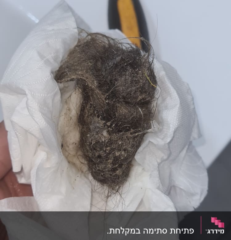 שיער סתום במגבת נייר וכלי עבודה